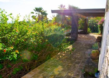 Giardino - Villa Contrada Khamma, Pantelleria - foto 42