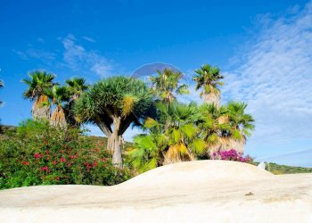 Giardino - Villa Contrada Khamma, Pantelleria - foto 51