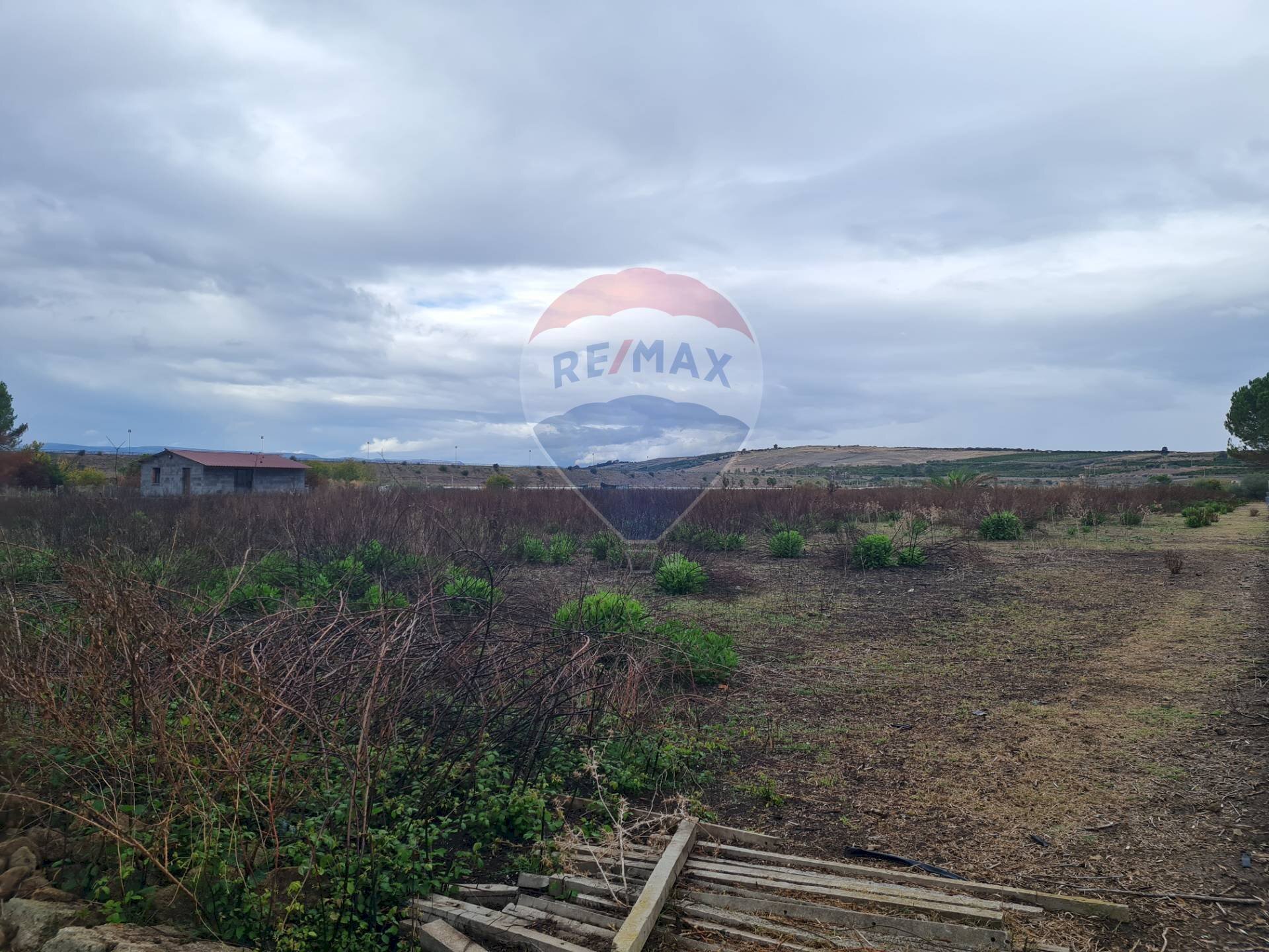 Vista delle montagne - Agricultural land Via Maniago S.p. 67
 
snc, Lentini - photo 2