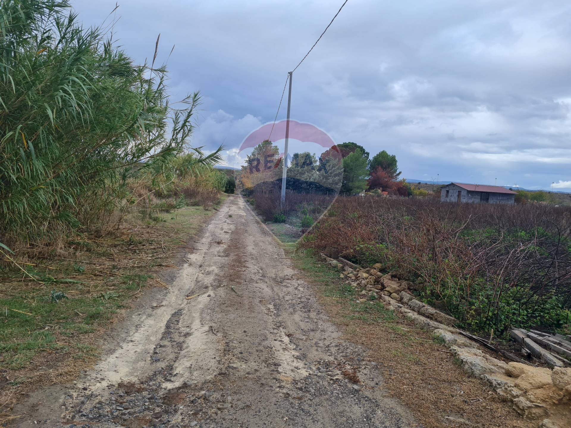 Non correlato - Agricultural land Via Maniago S.p. 67
 
snc, Lentini - photo 3