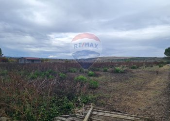 Vista delle montagne - Agricultural land Via Maniago S.p. 67
 
snc, Lentini - photo 2