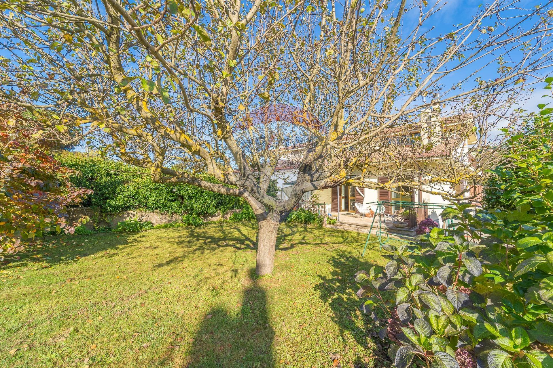 Giardino - Casa semi indipendente Via delle Petunie
 
6, Rocca Priora - foto 3