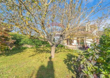 Giardino - Casa semi indipendente Via delle Petunie
 
6, Rocca Priora - foto 3