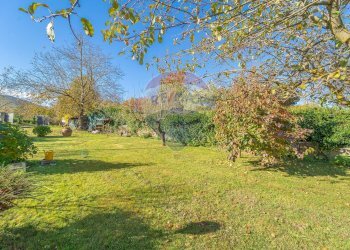 Giardino - Casa semi indipendente Via delle Petunie
 
6, Rocca Priora - foto 9