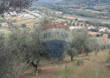Vista delle montagne - Semi-detached house Via Piagge
 
27, Castelplanio - photo 34