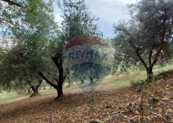 Giardino - Semi-detached house Via Piagge
 
27, Castelplanio - photo 36