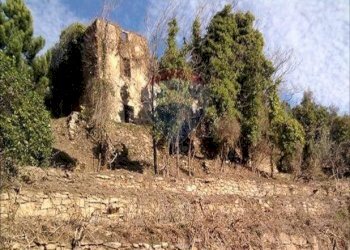 rudere - Terreno agricolo Località la Verruca Coli
 
1, Vicopisano - foto 3