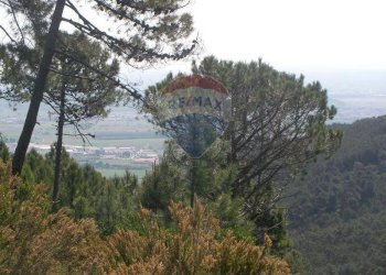 Vista delle montagne - Terreno agricolo Località la Verruca Coli
 
1, Vicopisano - foto 7