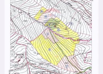 Posizione della mappa - Terreno agricolo Località la Verruca Coli
 
1, Vicopisano - foto 9