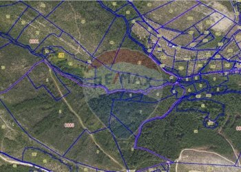 Pianta 2D - Terreno agricolo Località la Verruca Coli
 
1, Vicopisano - foto 10