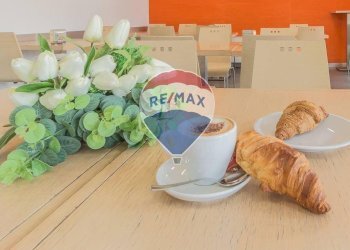 Dettagli - Bar Tavola Calda - Fredda Empoli - foto 4