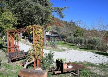 Giardino - Rustico via Badia
 
52, Civitella di Romagna - foto 7