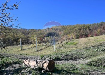Vista delle montagne - Rustico via Badia
 
52, Civitella di Romagna - foto 10