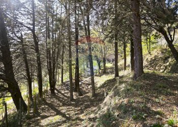 Giardino - Rustico via Badia
 
52, Civitella di Romagna - foto 14