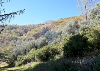 Vista delle montagne - Rustico via Badia
 
52, Civitella di Romagna - foto 18