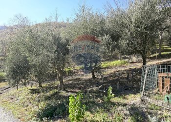 Giardino - Rustico via Badia
 
52, Civitella di Romagna - foto 21