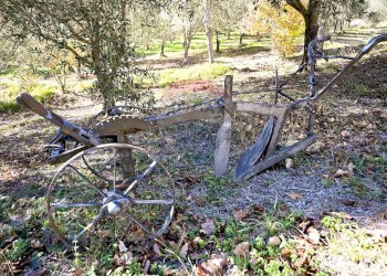 Giardino - Rustico via Badia
 
52, Civitella di Romagna - foto 22