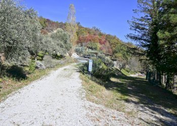 Vista delle montagne - Rustico via Badia
 
52, Civitella di Romagna - foto 23