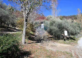 Giardino - Rustico via Badia
 
52, Civitella di Romagna - foto 24