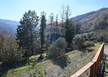 Vista delle montagne - Rustico via Badia
 
52, Civitella di Romagna - foto 31