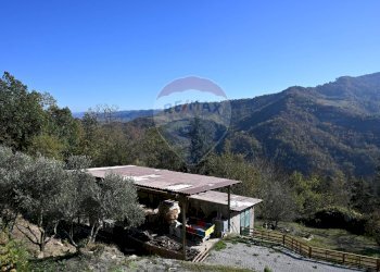 Vista delle montagne - Rustico via Badia
 
52, Civitella di Romagna - foto 35
