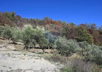 Vista delle montagne - Rustico via Badia
 
52, Civitella di Romagna - foto 36