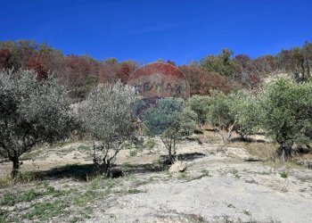 Vista delle montagne - Rustico via Badia
 
52, Civitella di Romagna - foto 37