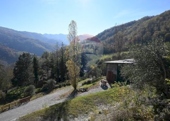 Vista delle montagne - Rustico via Badia
 
52, Civitella di Romagna - foto 38