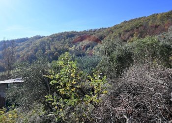 Vista delle montagne - Rustico via Badia
 
52, Civitella di Romagna - foto 39
