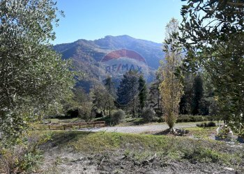 Vista delle montagne - Rustico via Badia
 
52, Civitella di Romagna - foto 40