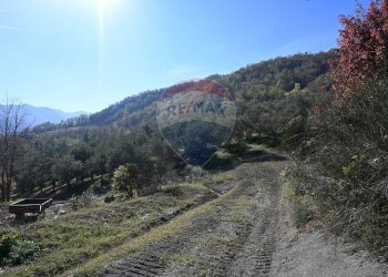 Vista delle montagne - Rustico via Badia
 
52, Civitella di Romagna - foto 41