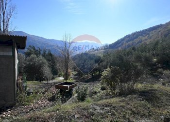 Vista delle montagne - Rustico via Badia
 
52, Civitella di Romagna - foto 42
