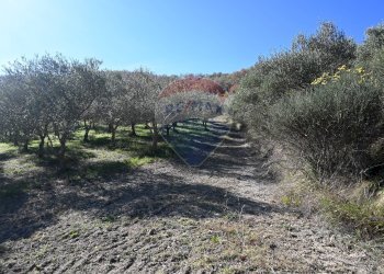 Giardino - Rustico via Badia
 
52, Civitella di Romagna - foto 43