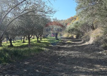 Giardino - Rustico via Badia
 
52, Civitella di Romagna - foto 44