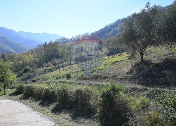 Vista delle montagne - Rustico via Badia
 
52, Civitella di Romagna - foto 45