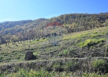 Vista delle montagne - Rustico via Badia
 
52, Civitella di Romagna - foto 46