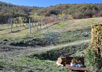 Vista delle montagne - Rustico via Badia
 
52, Civitella di Romagna - foto 47
