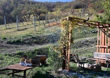Giardino - Rustico via Badia
 
52, Civitella di Romagna - foto 48