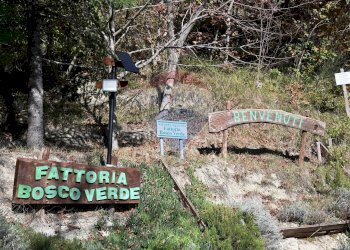 ingresso - Rustico via Badia
 
52, Civitella di Romagna - foto 85