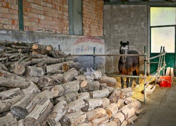 Giardino - Rustico via Badia
 
52, Civitella di Romagna - foto 87