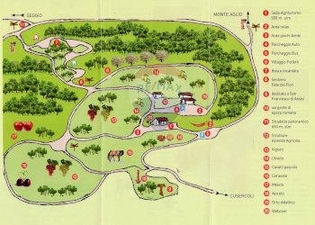 Pianta 2D - Rustico via Badia
 
52, Civitella di Romagna - foto 88