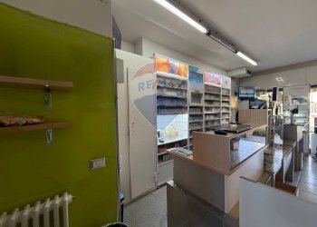 Dispensa di stoccaggio - Attività Commerciale Pedrengo - foto 2