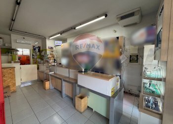 Cucina - Attività Commerciale Pedrengo - foto 3