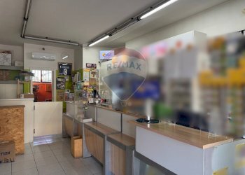 Cucina - Attività Commerciale Pedrengo - foto 5