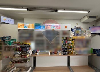 Dispensa di stoccaggio - Attività Commerciale Pedrengo - foto 7