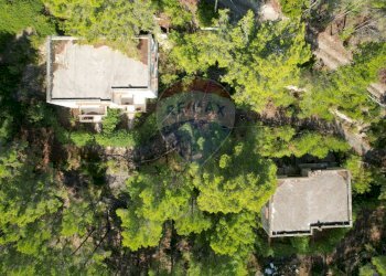 Giardino - Rustico Localita' Castagneto
 
SNC, Vieste - foto 2