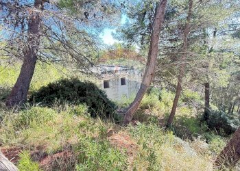 Giardino - Rustico Localita' Castagneto
 
SNC, Vieste - foto 10