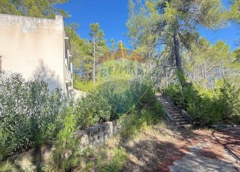 Giardino - Rustico Localita' Castagneto
 
SNC, Vieste - foto 11