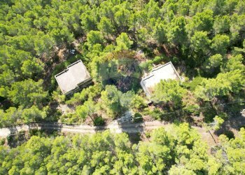 Giardino - Rustico Localita' Castagneto
 
SNC, Vieste - foto 22