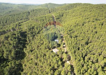 Vista delle montagne - Rustico Localita' Castagneto
 
SNC, Vieste - foto 25